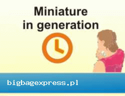 screen https://bigbagexpress.pl/