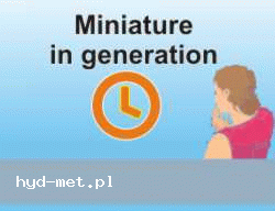 screen https://hyd-met.pl/