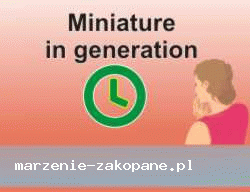 Screen https://marzenie-zakopane.pl/
