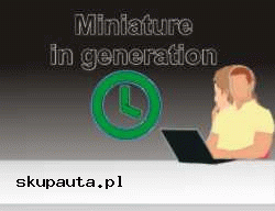 screen https://www.skupauta.pl/