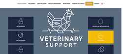 Screen https://veterinary-support.pl/