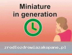 Screen https://zrodlozdrowiazakopane.pl/